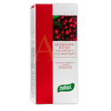 ARÁNDANO ROJO Jugo concentrado 490 ml - SANTIVERI