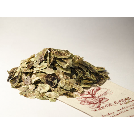 SENET FOLICLE 100 g - Maria Casas Biòloga