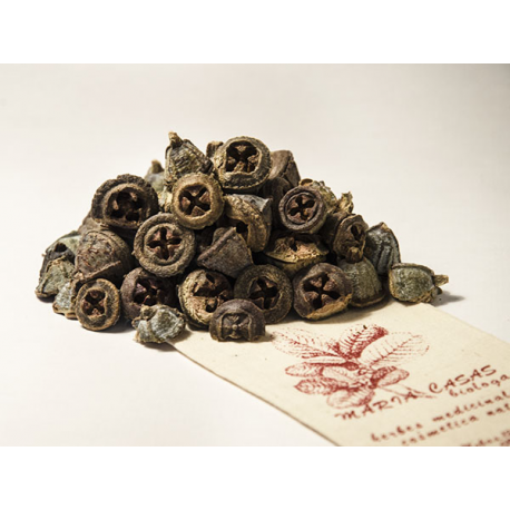 EUCALIPTUS Baies 200 g - Maria Casas Biòloga