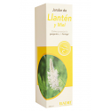 LLANTÉN y Miel  200 ml - Jarabe - ELADIET