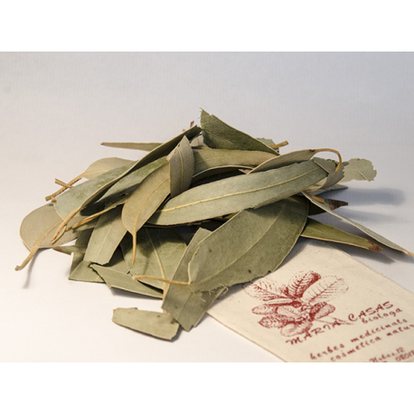 LLORER 25 g - Maria Casas Biòloga 