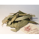EUCALIPTUS Fulles 100 g - Maria Casas Biòloga 