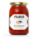 EUCALIPTUS 500g  - 1kg - MEL MURIA